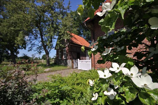 Landgasthof Zur Heideschenke Hotel Wolthausen Kültér fotó